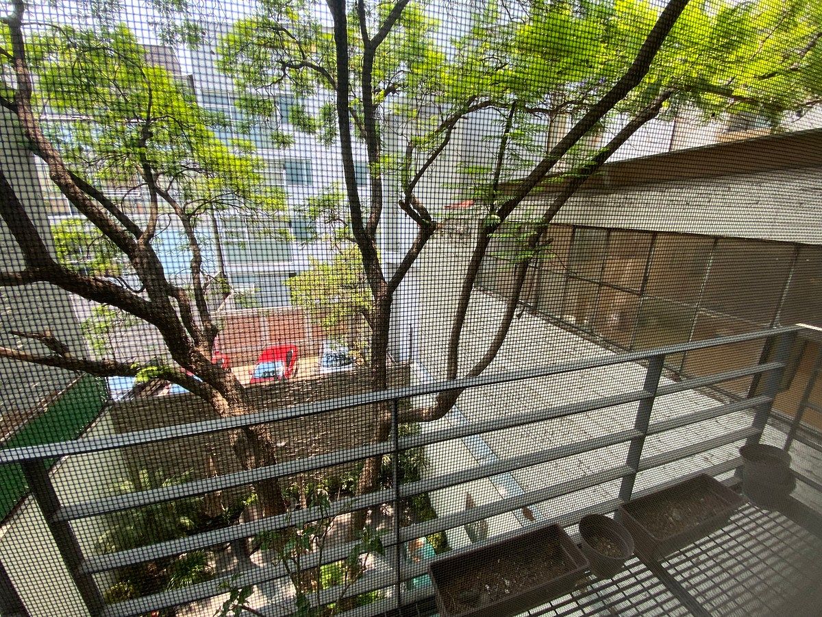 Foto 13