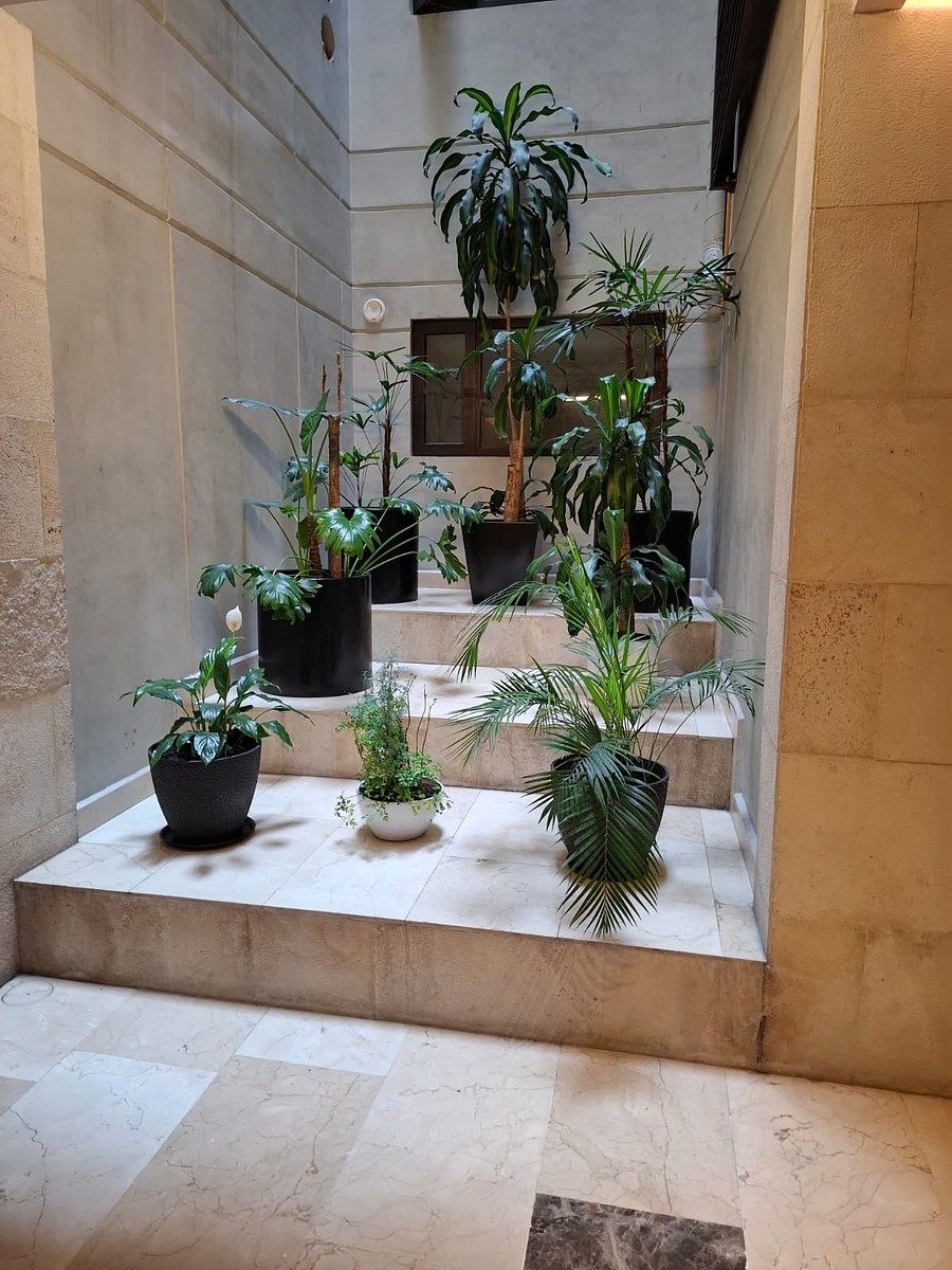 Foto 16