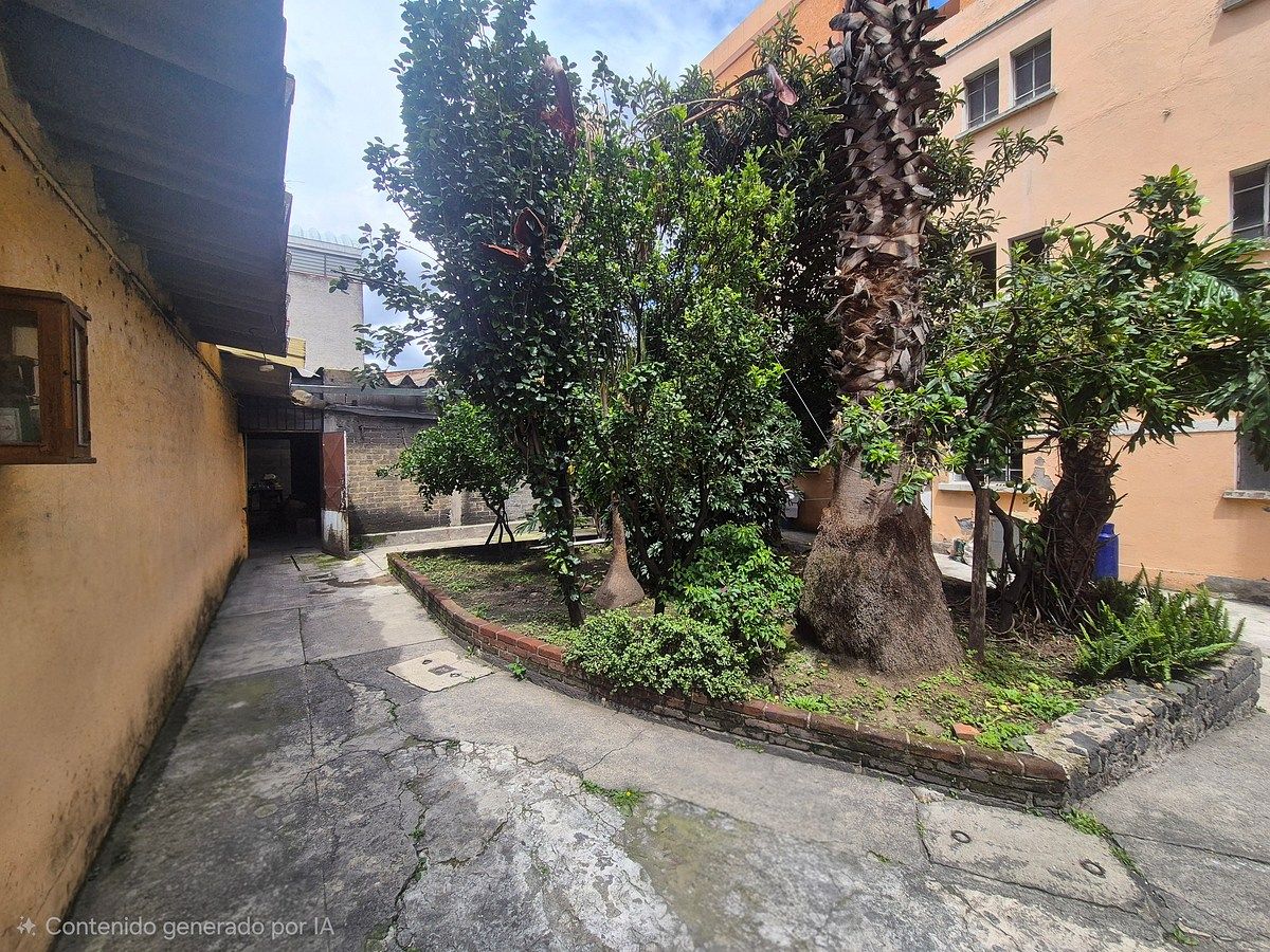 Foto 8