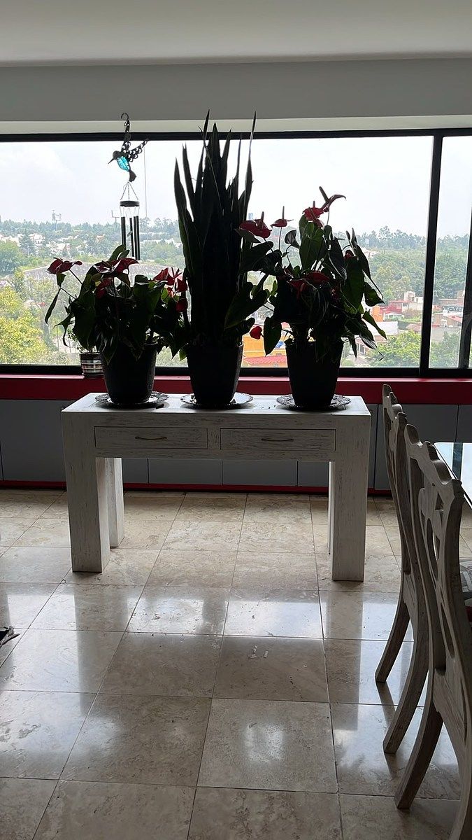 Foto 23