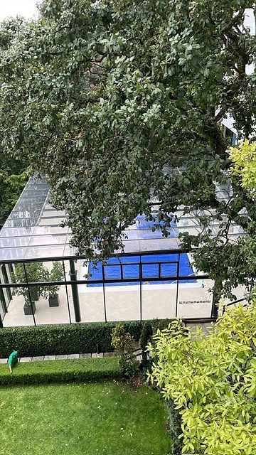 Foto 34