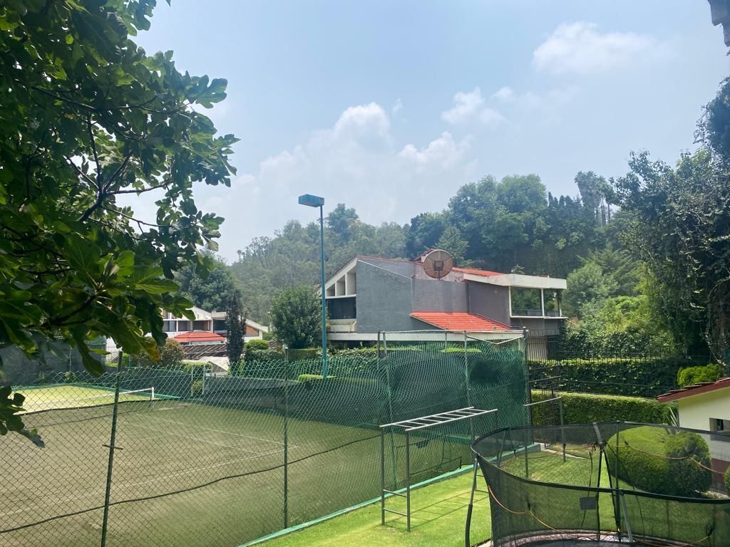 Foto 42