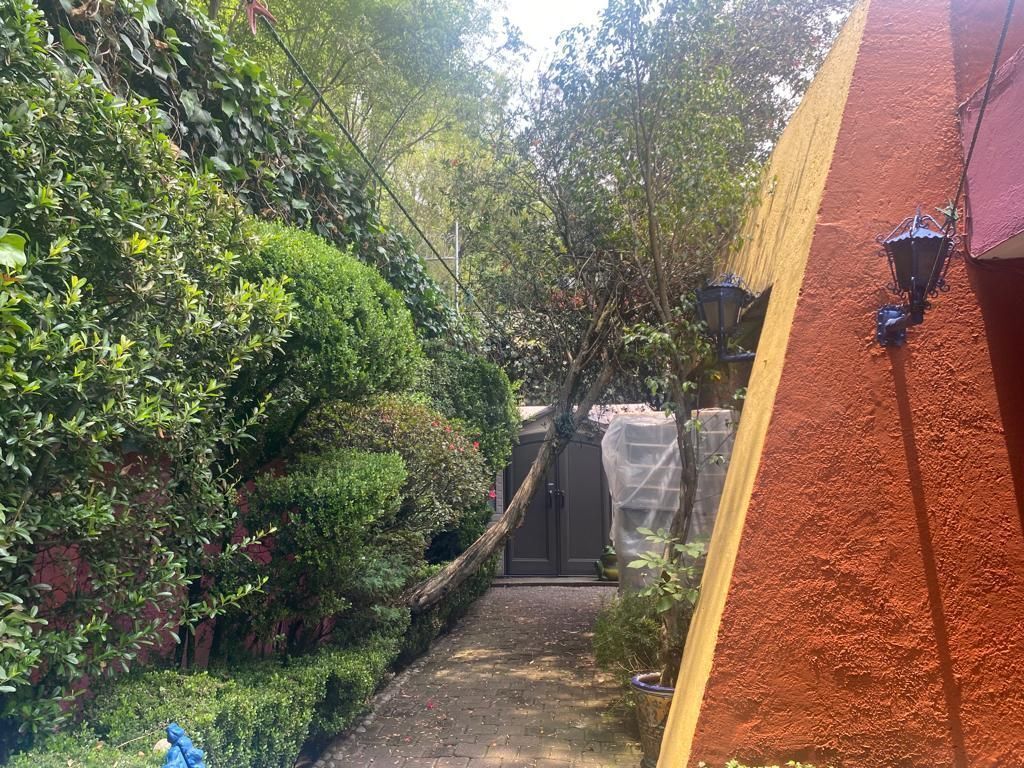 Foto 21