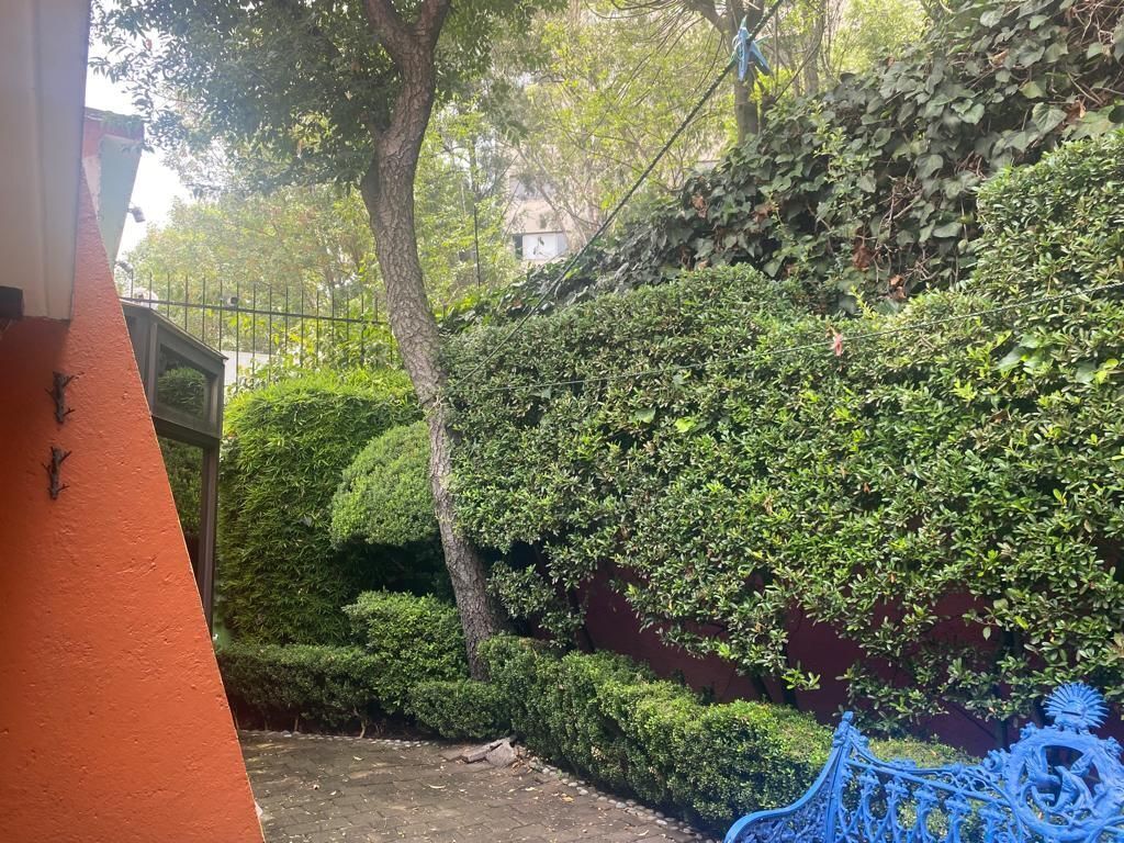 Foto 19