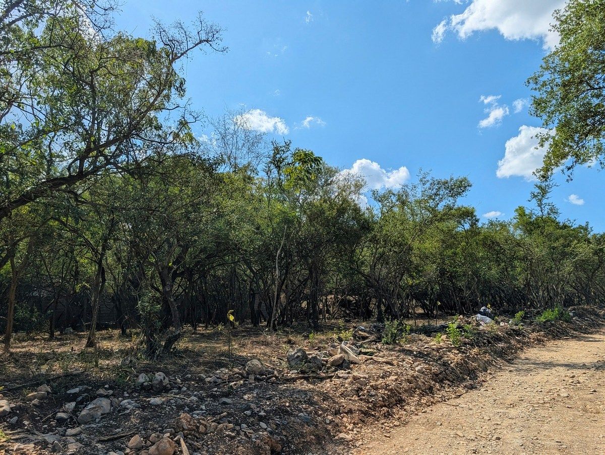 Lote en venta · El Barro, Monterrey, Nuevo León Lote en venta · El Barro, Monterrey, Nuevo León