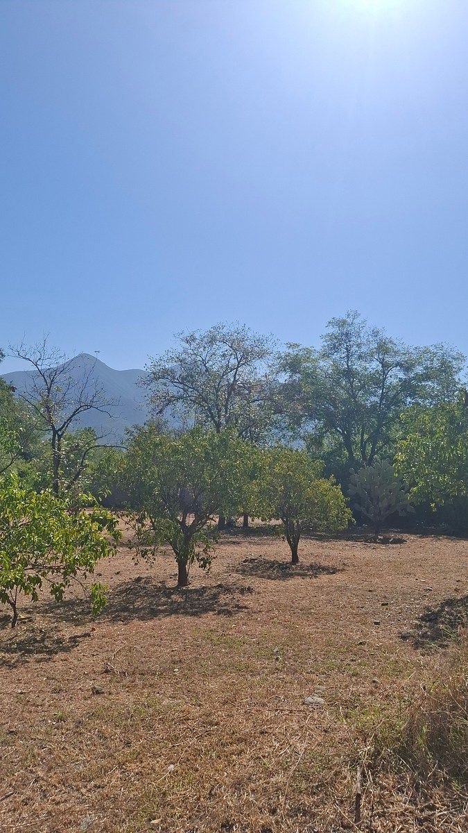 Foto 15