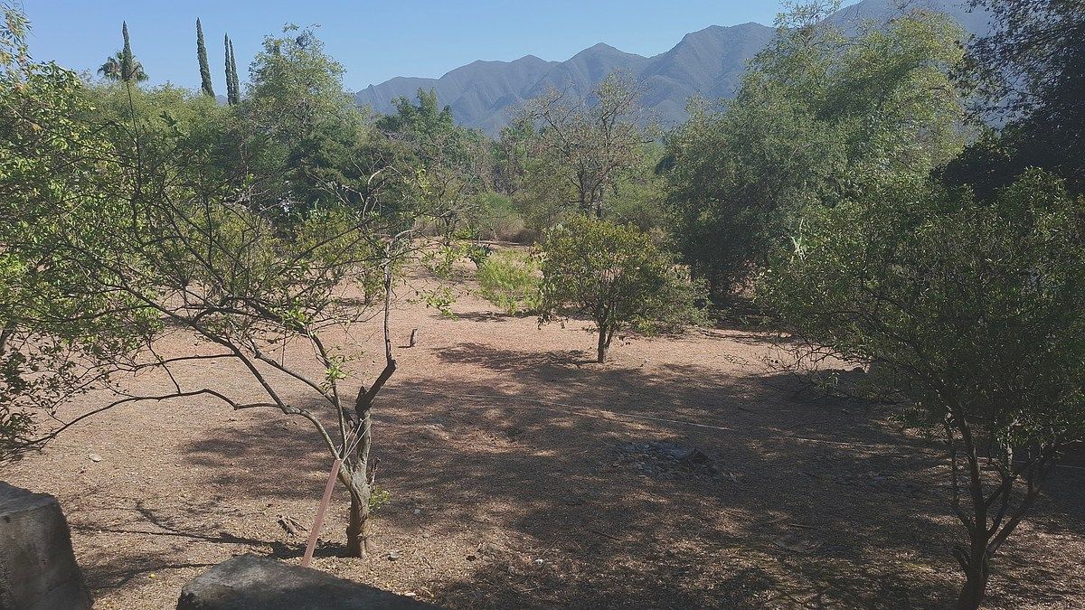 Foto 10