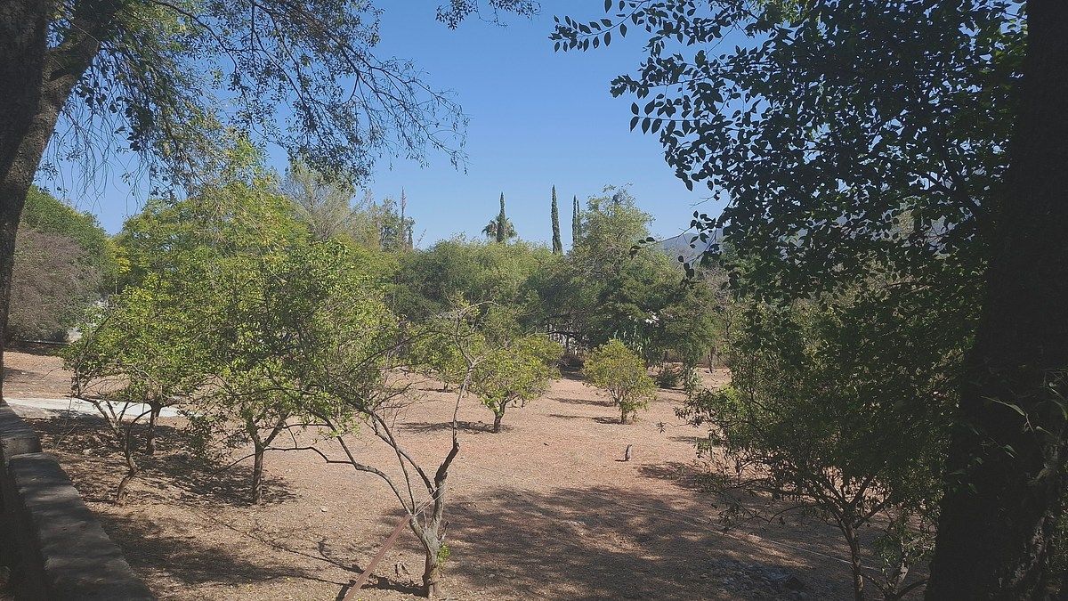Foto 11