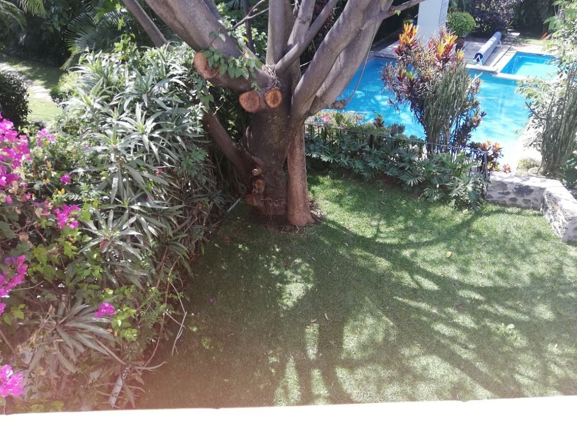 Foto 14