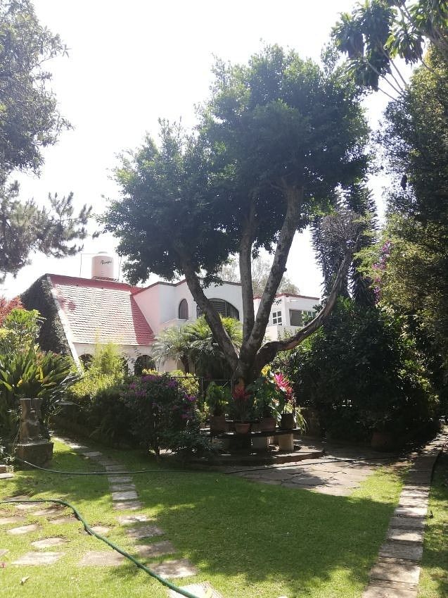 Foto 15