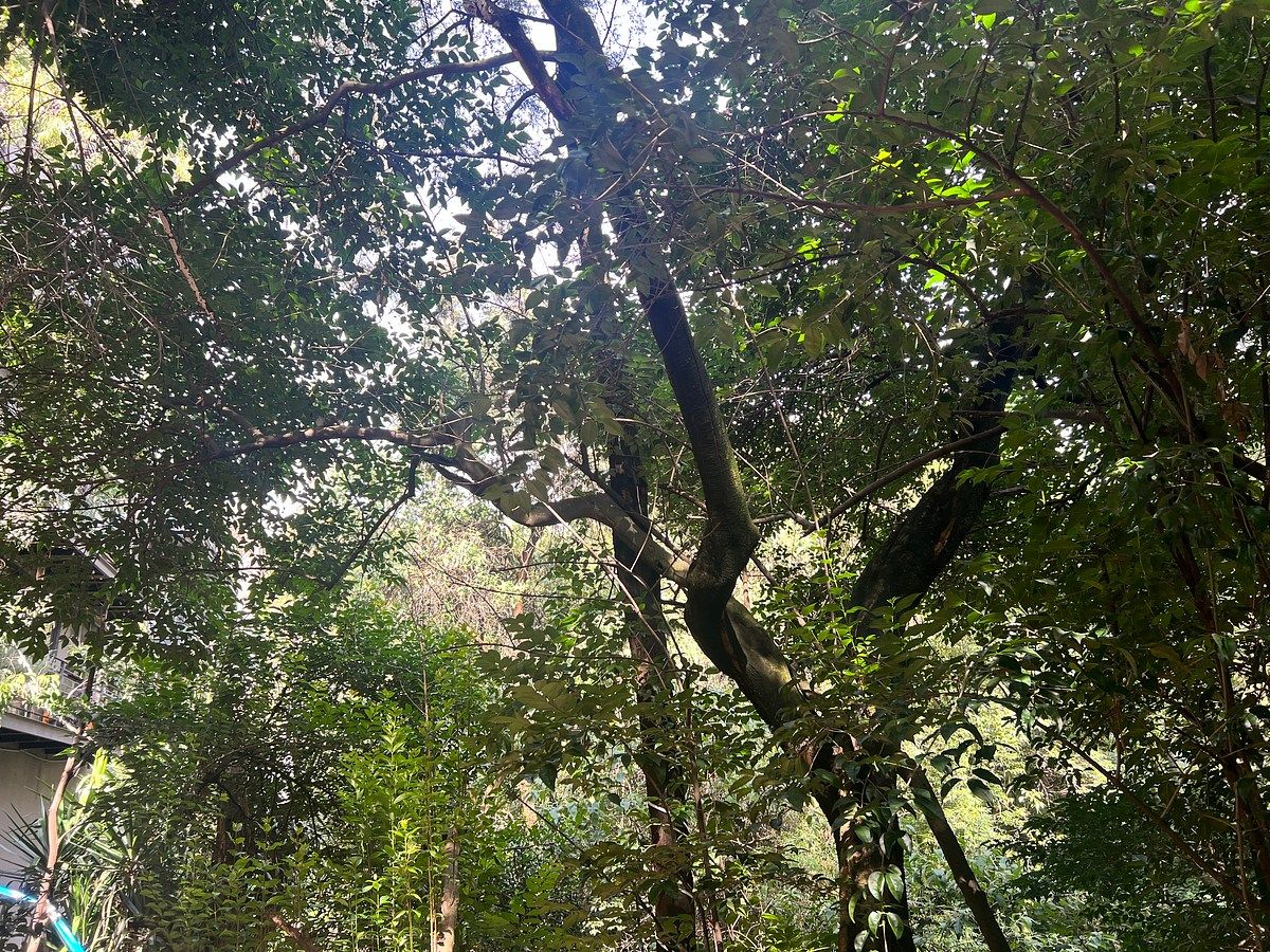 Foto 17