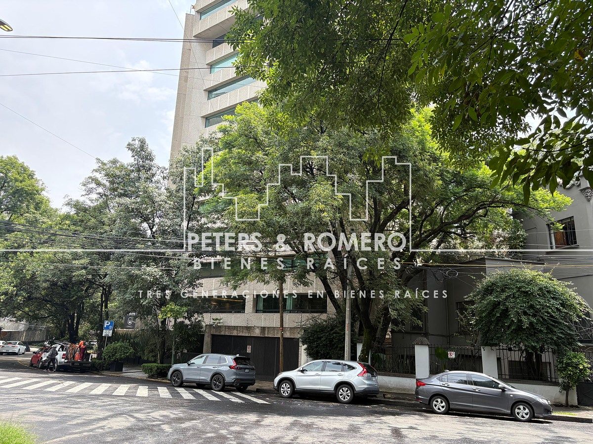 Foto 41