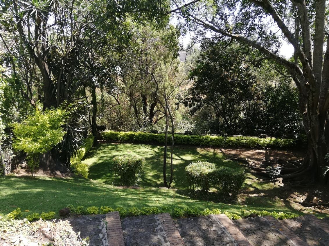 Foto 17