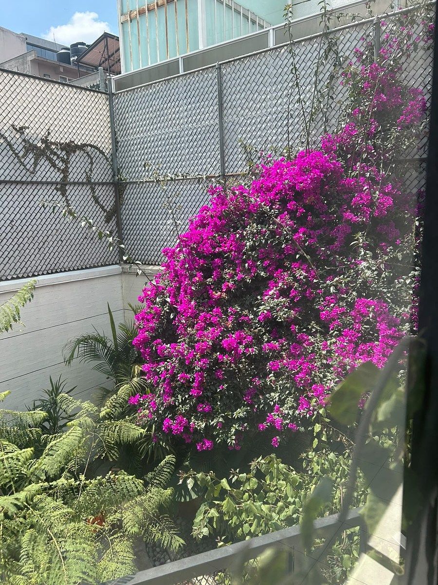 Foto 19