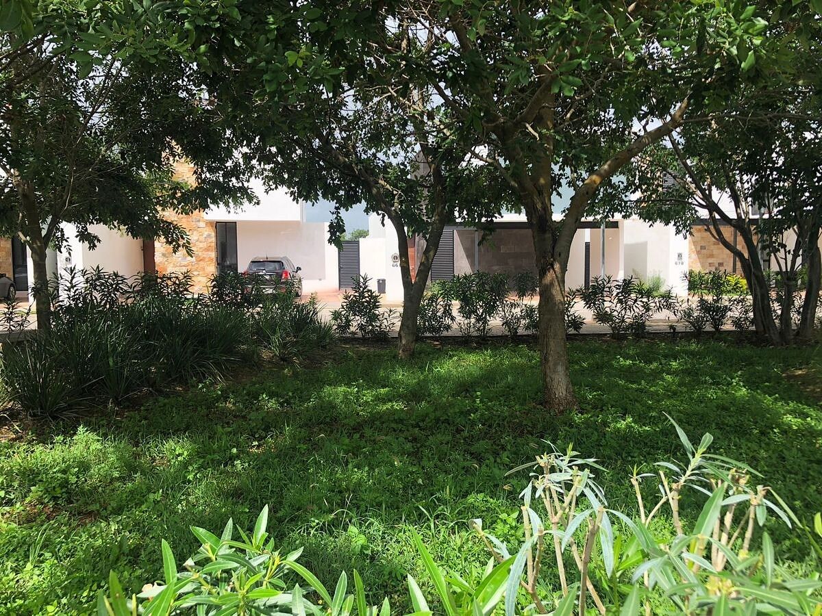 Foto 16