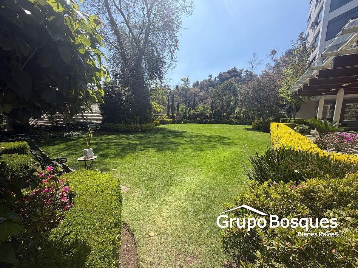 Foto 41