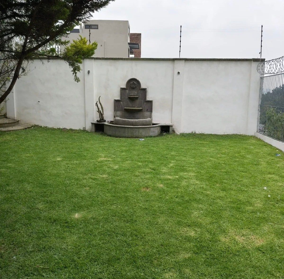 Foto 5