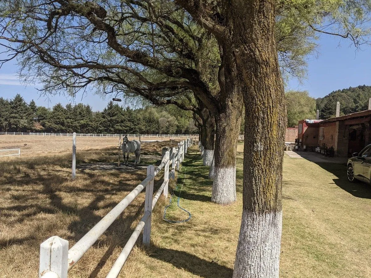Lote en venta · Jardines de Santiago, Tianguistenco, Estado de México