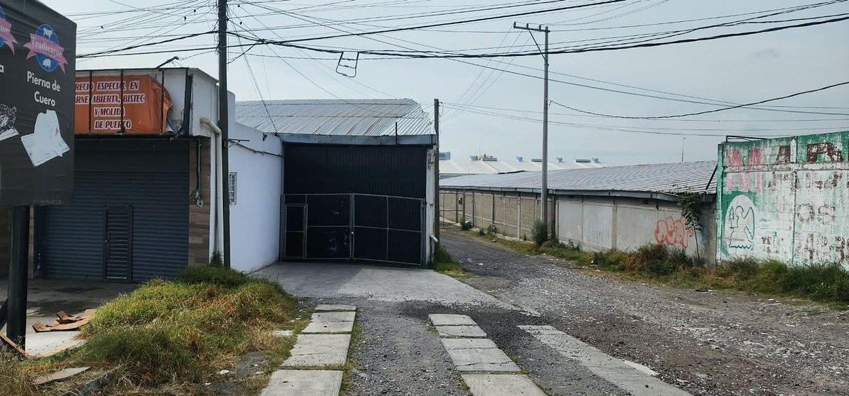 Foto 7