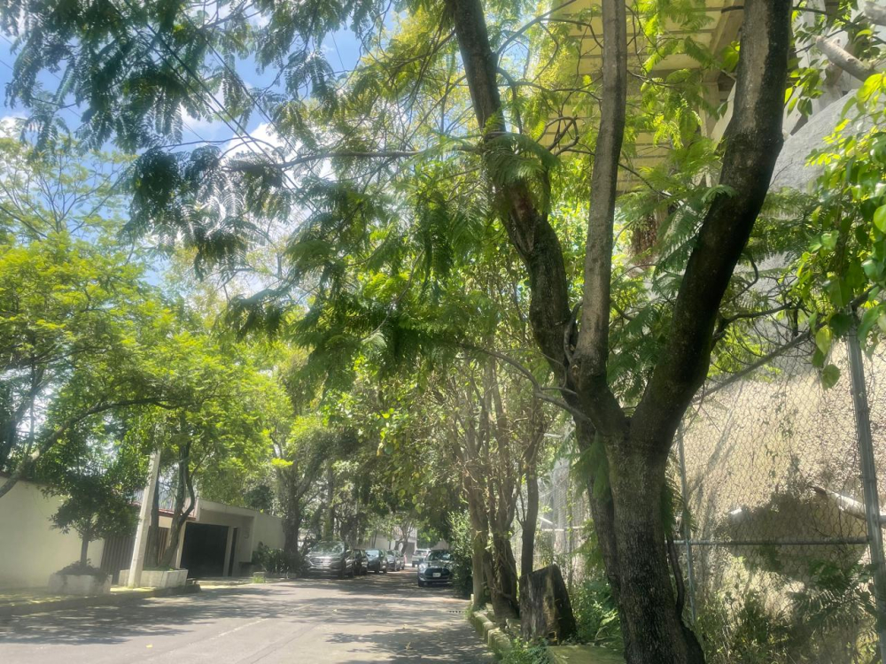 Foto 14