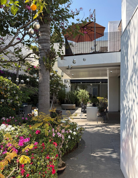 Casa en venta · Bosque de las Lomas, Miguel Hidalgo, Ciudad de México Casa en venta · Bosque de las Lomas, Miguel Hidalgo, Ciudad de México