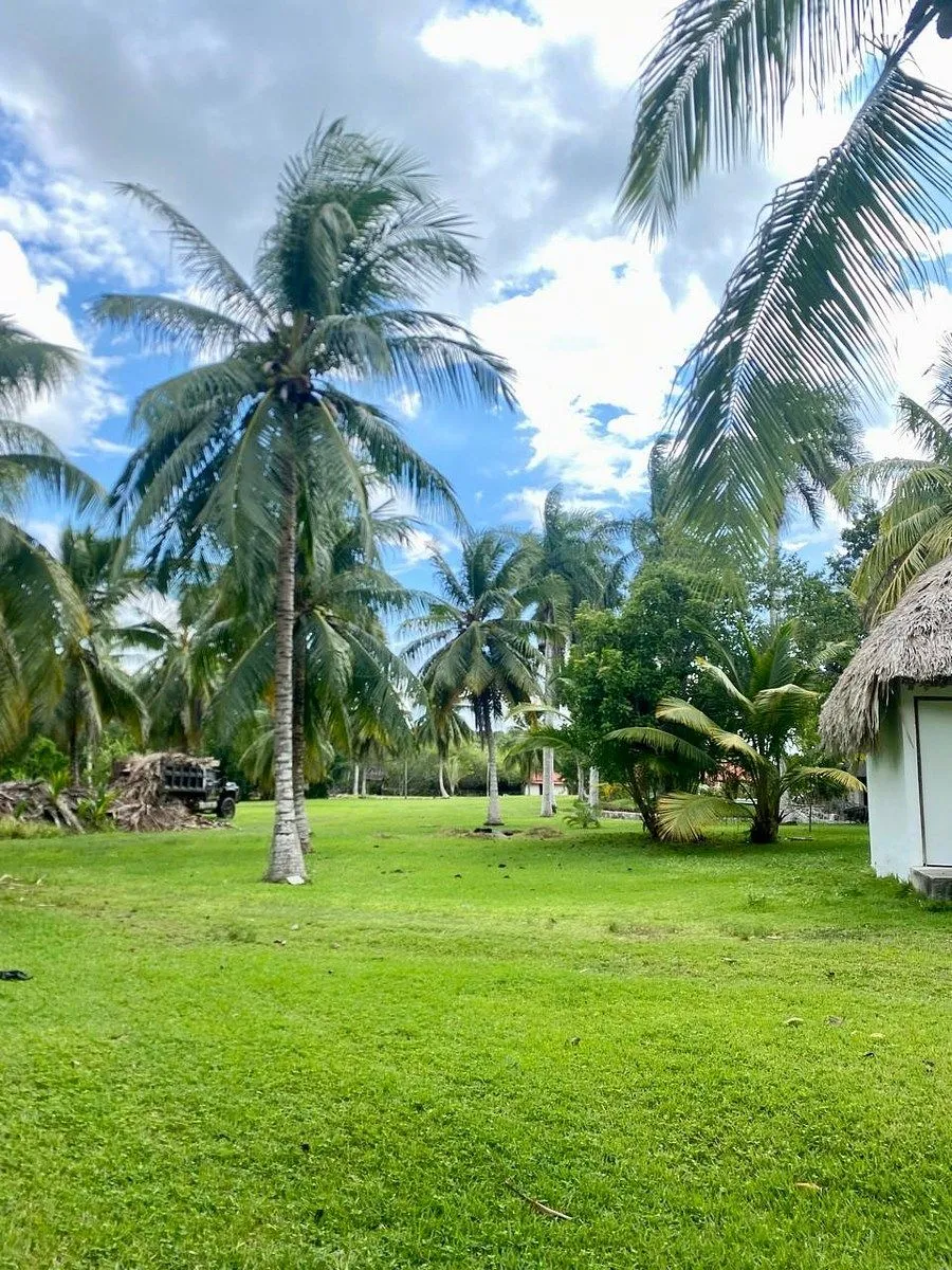 Foto 10