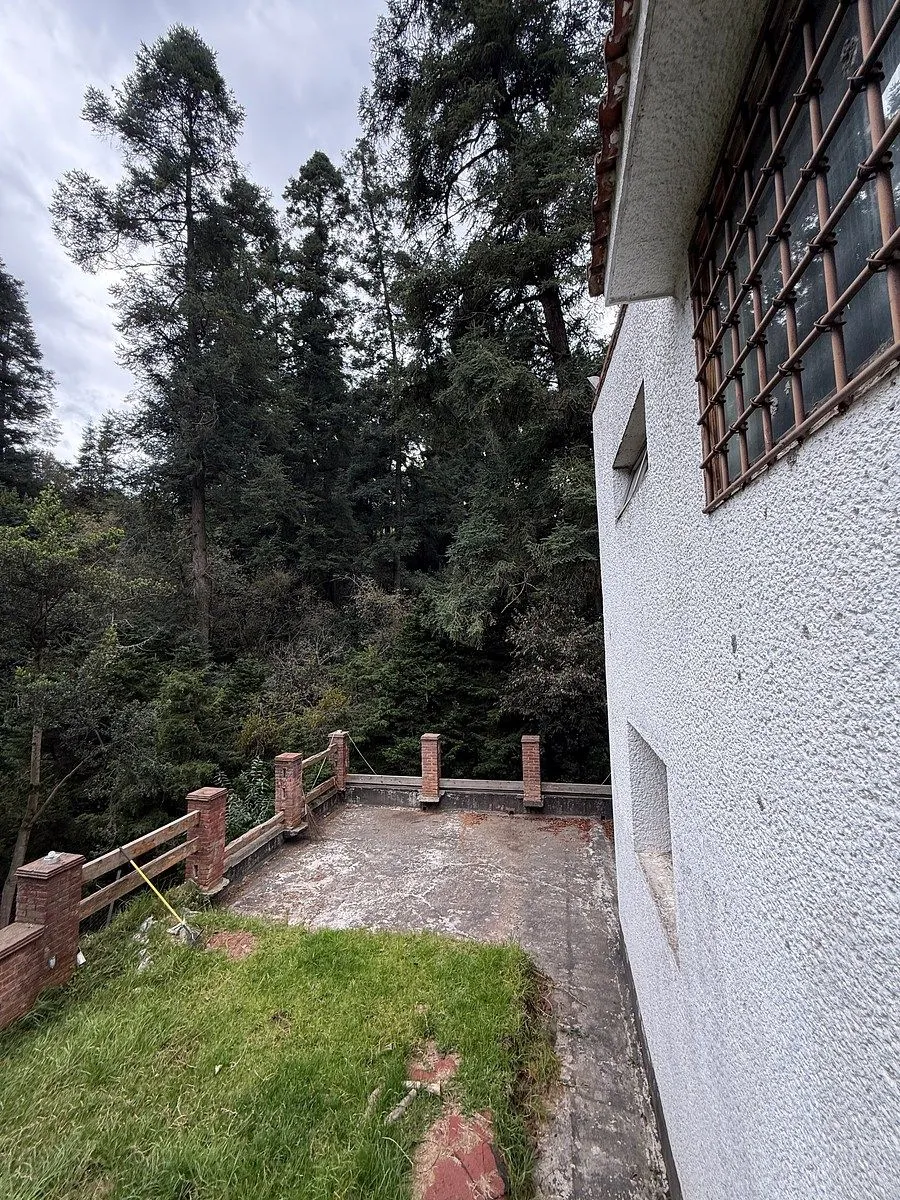 Foto 42