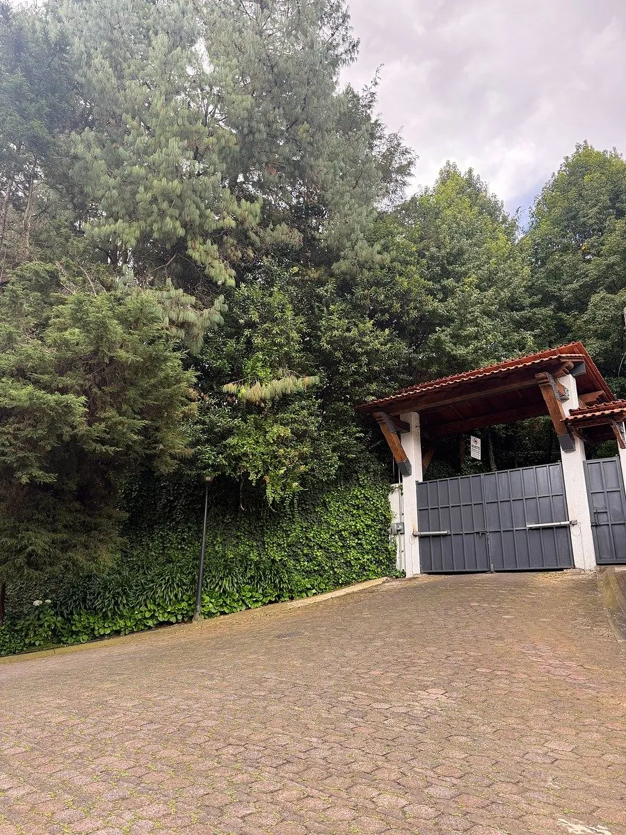 Foto 11