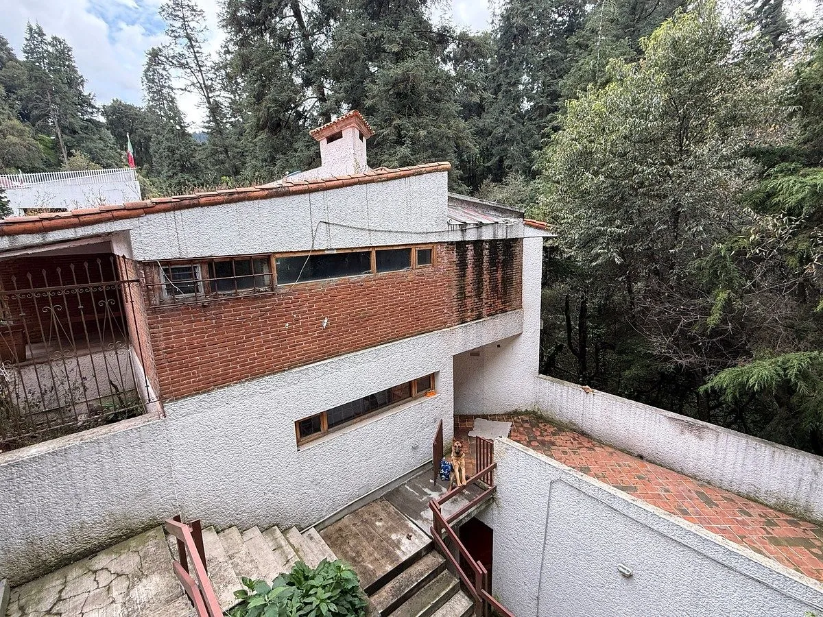 Foto 46