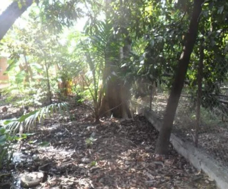 Lote en venta · Morelos, Coatlán del Río, Morelos