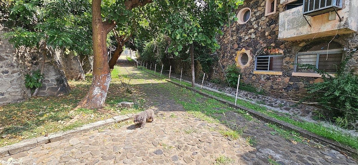 Foto 10