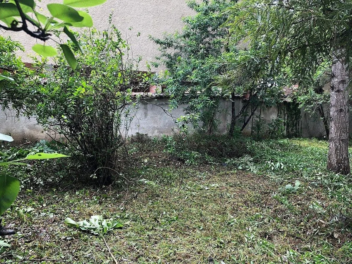 Foto 11