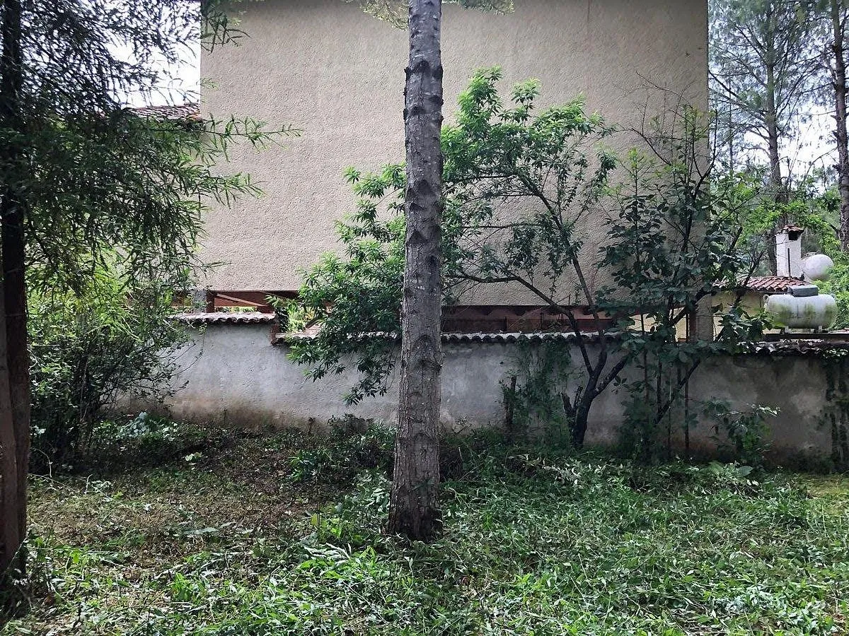 Foto 10