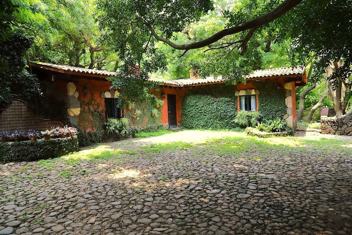 Foto 5