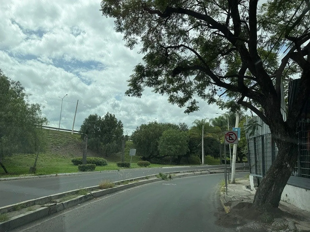 Foto 15