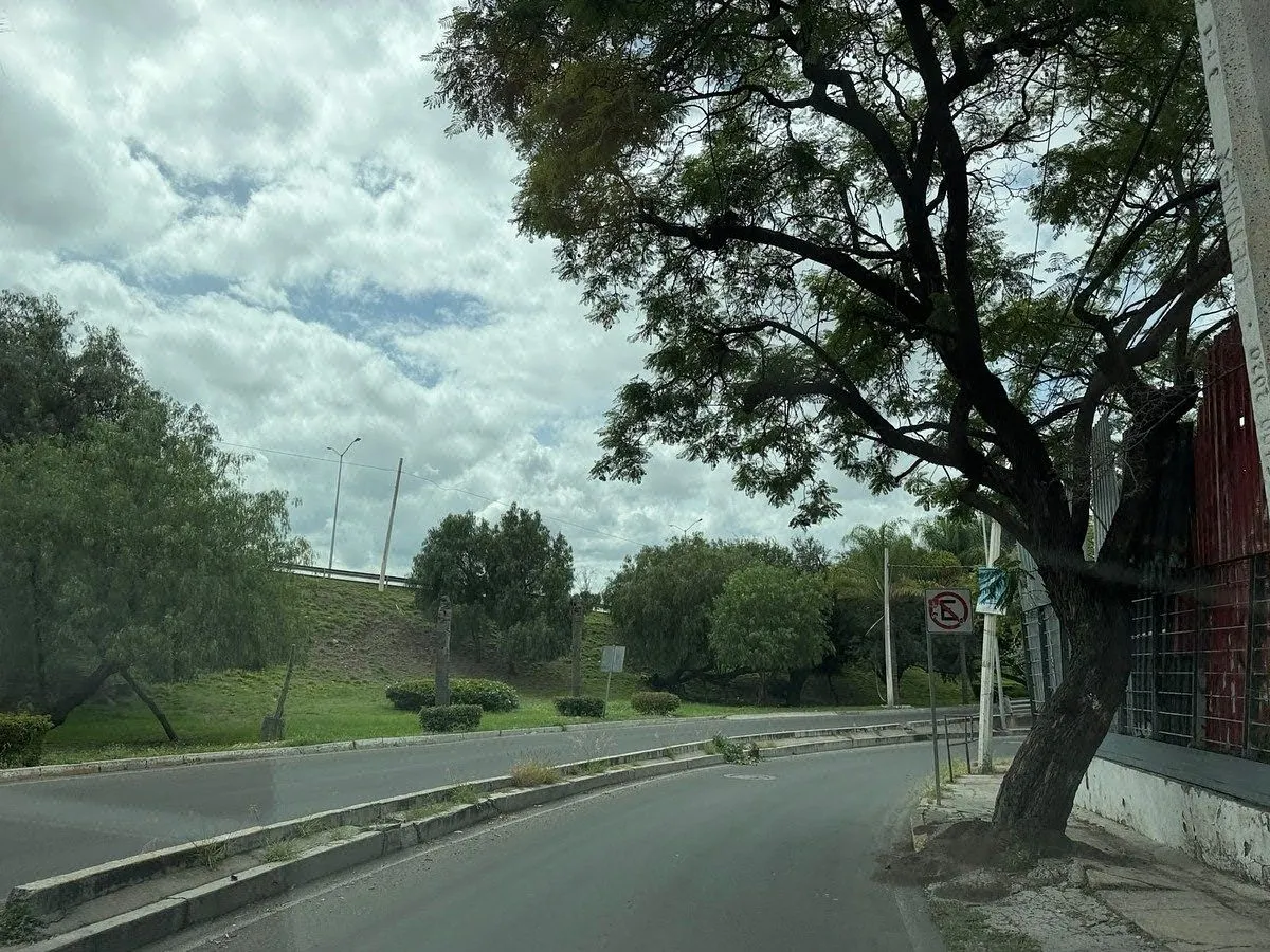 Foto 19