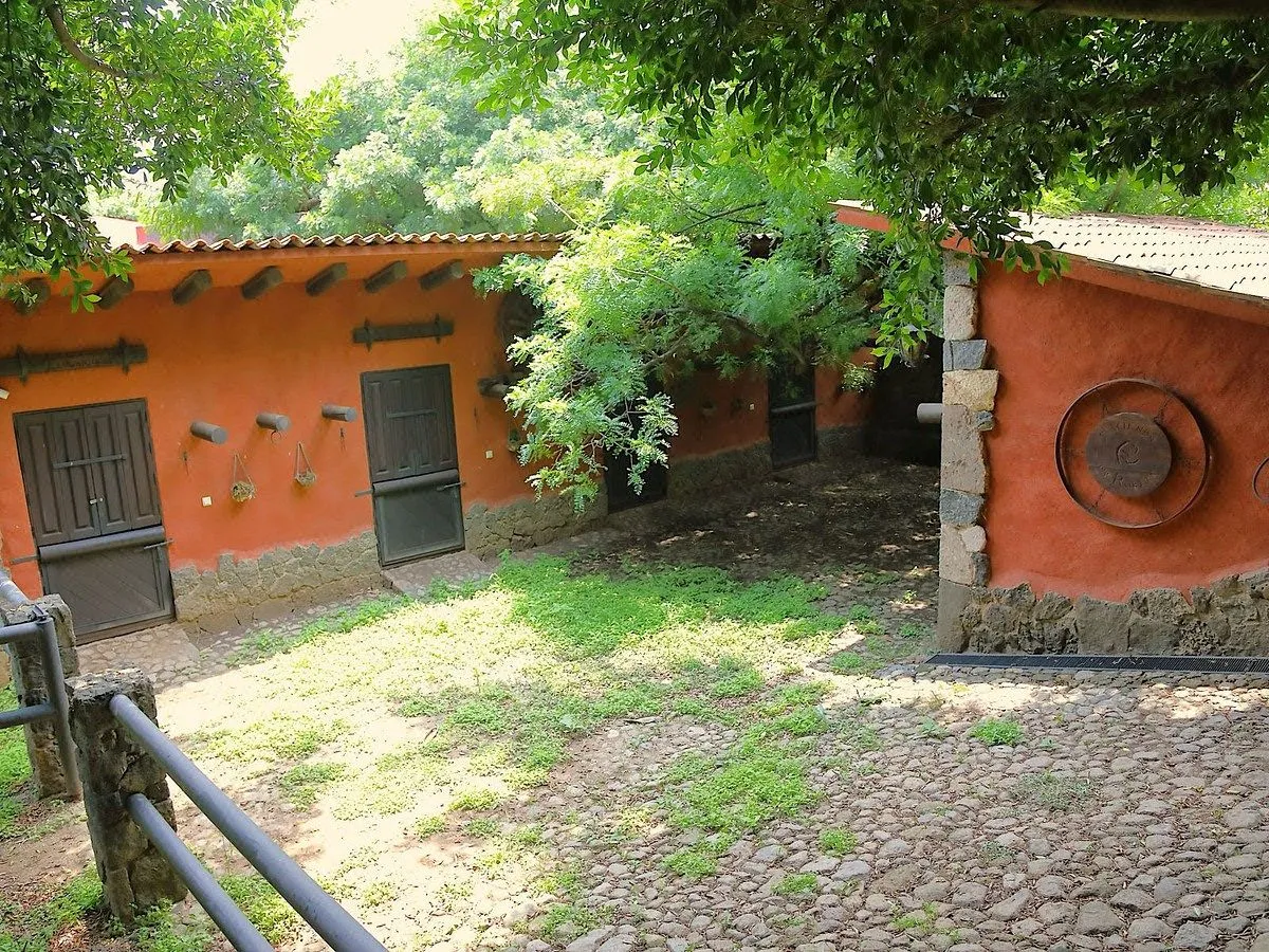Foto 7
