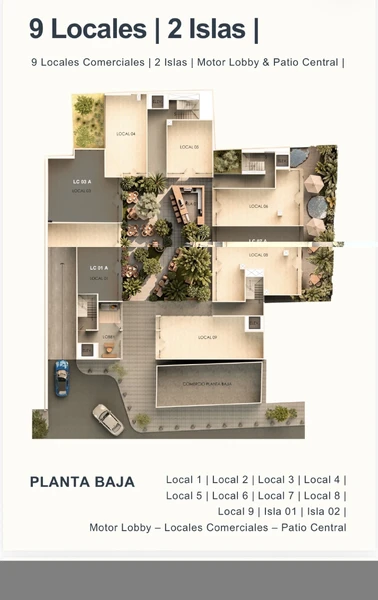 Foto 7