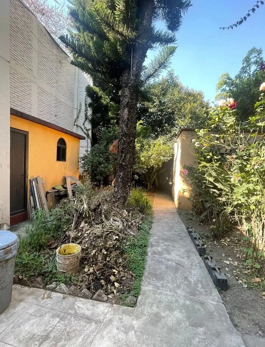 Foto 6
