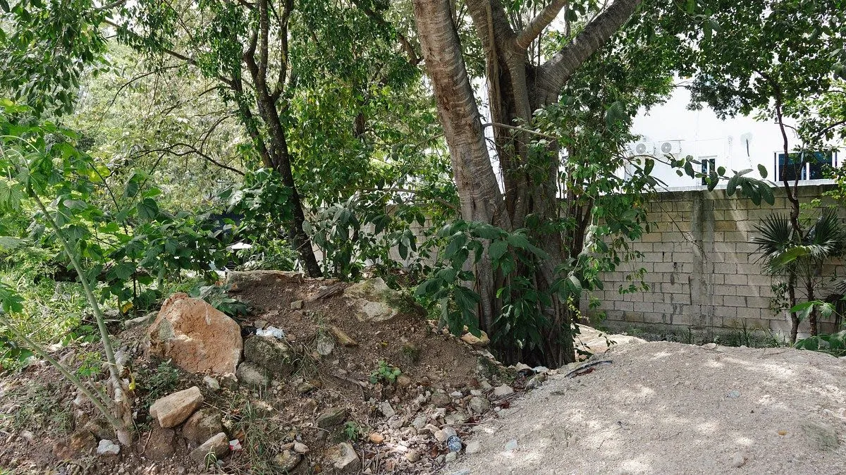 Foto 2