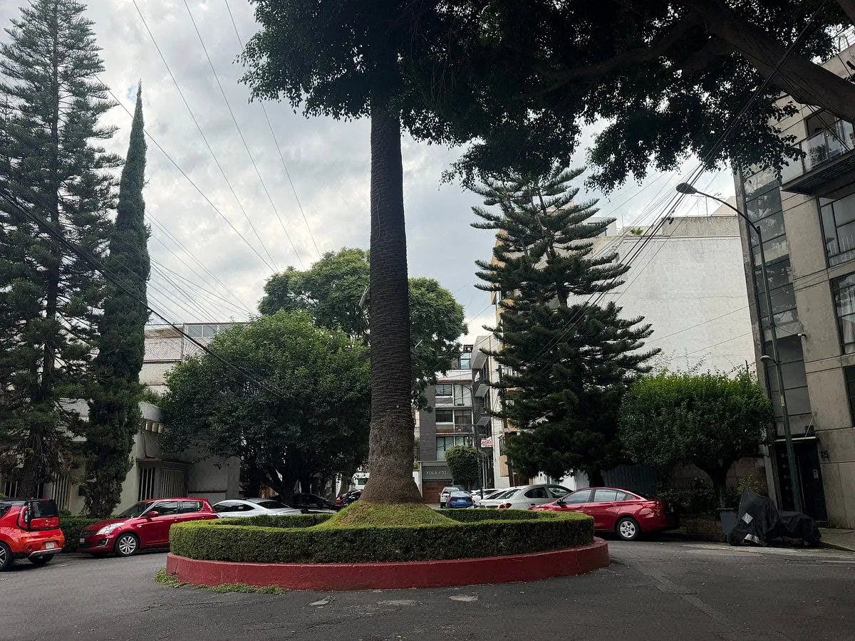 Foto 41