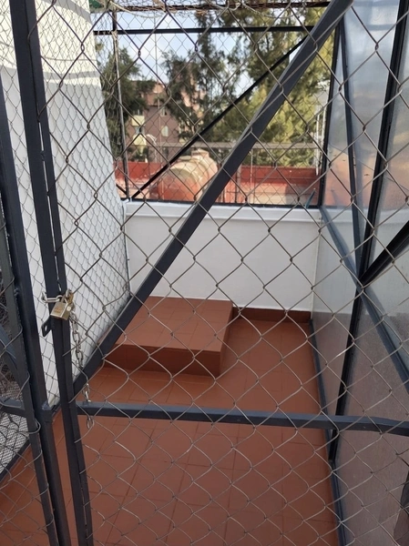 Foto 9