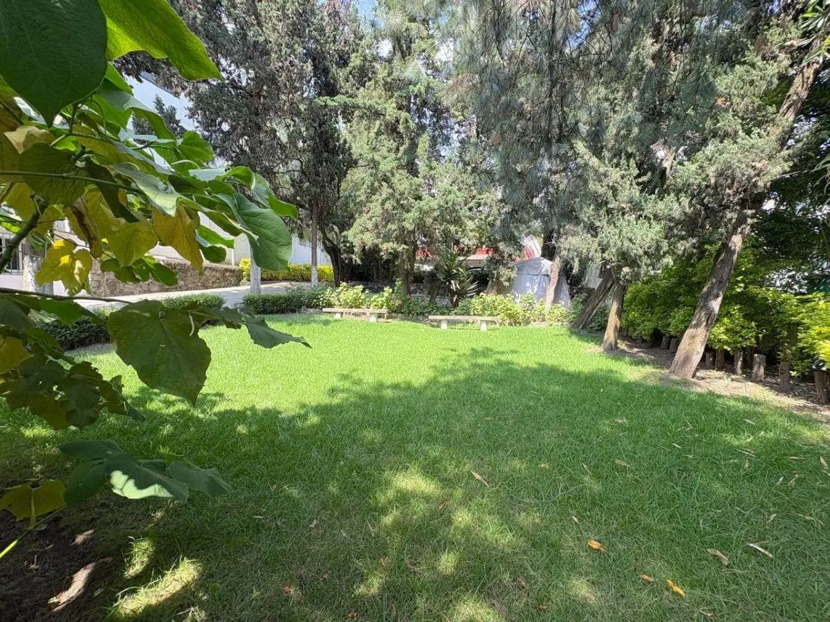 Foto 7