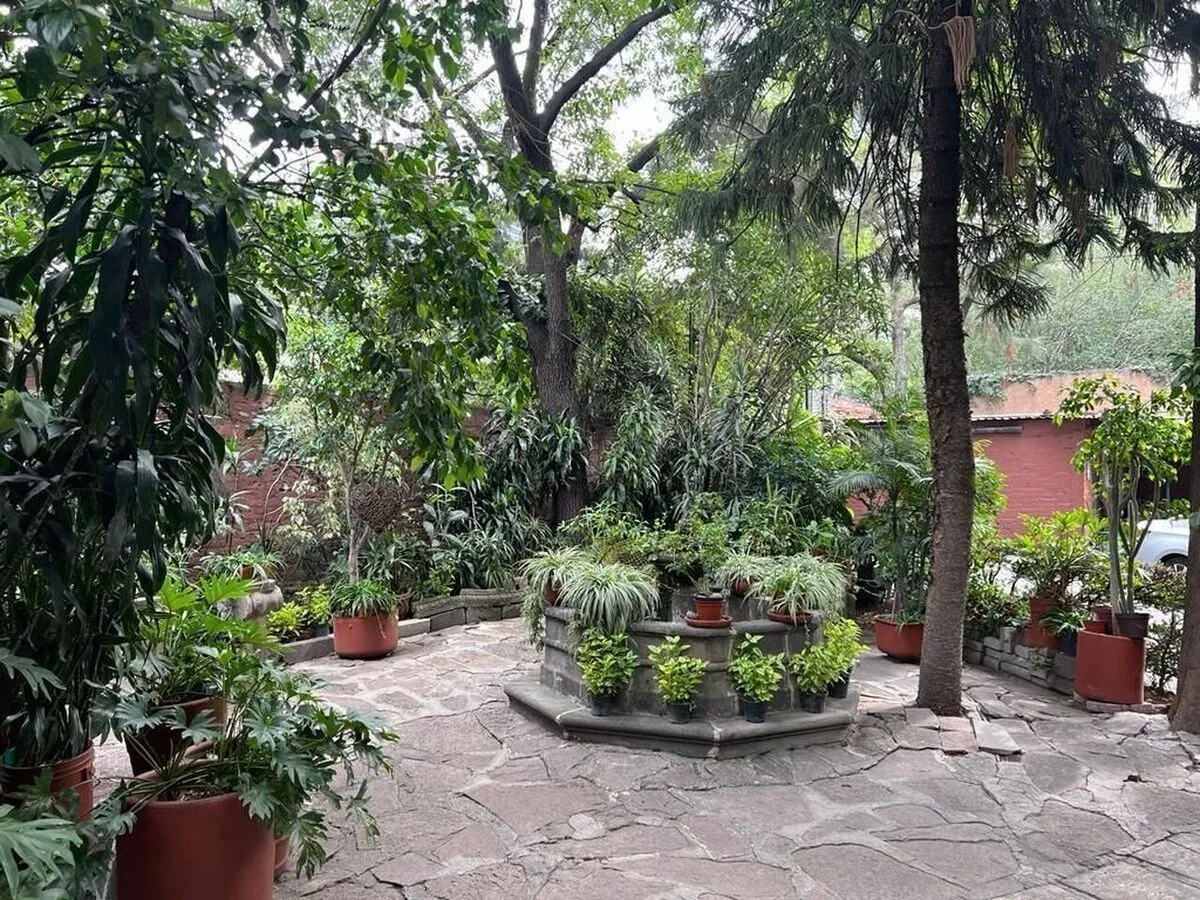 Foto 6