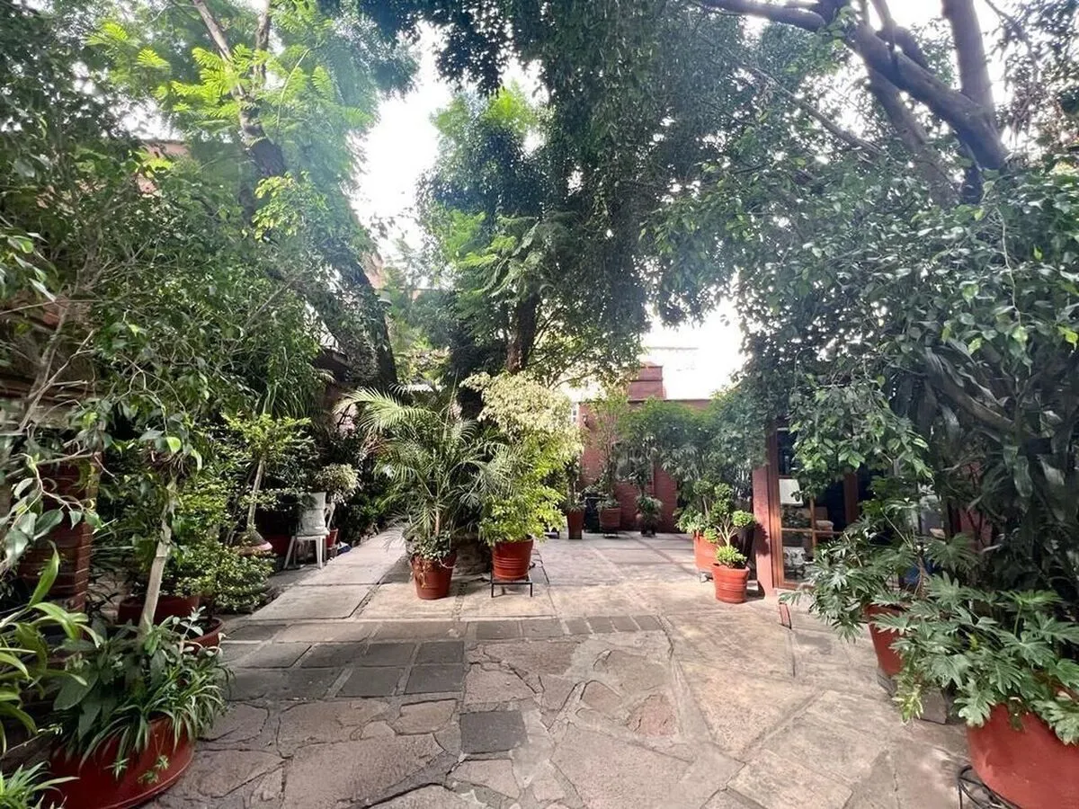 Foto 7
