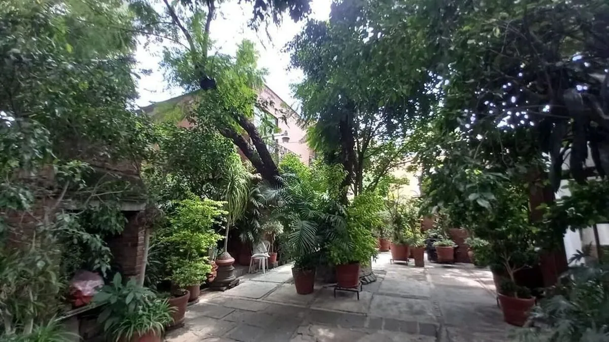 Foto 8