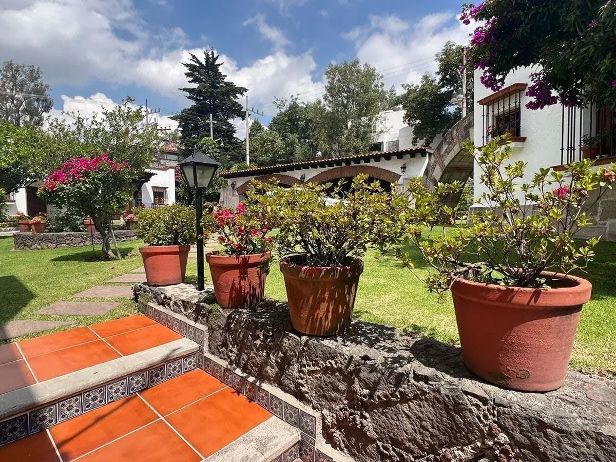 Foto 5