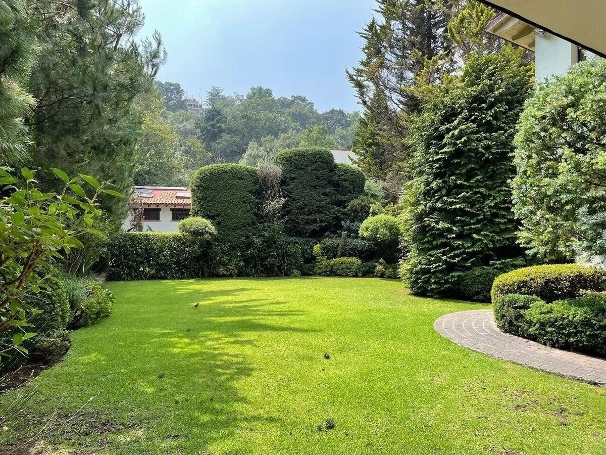 Foto 17
