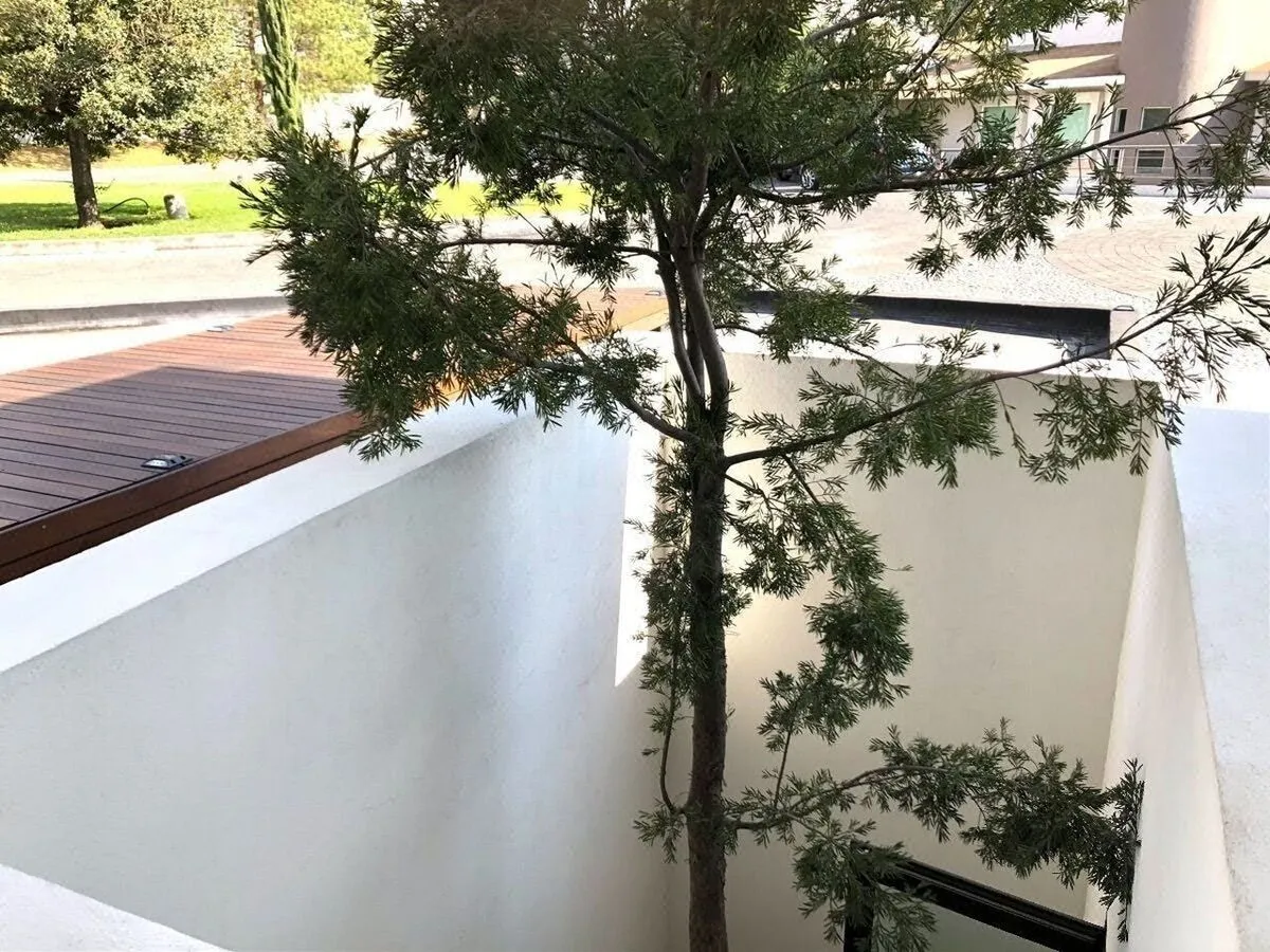 Foto 32