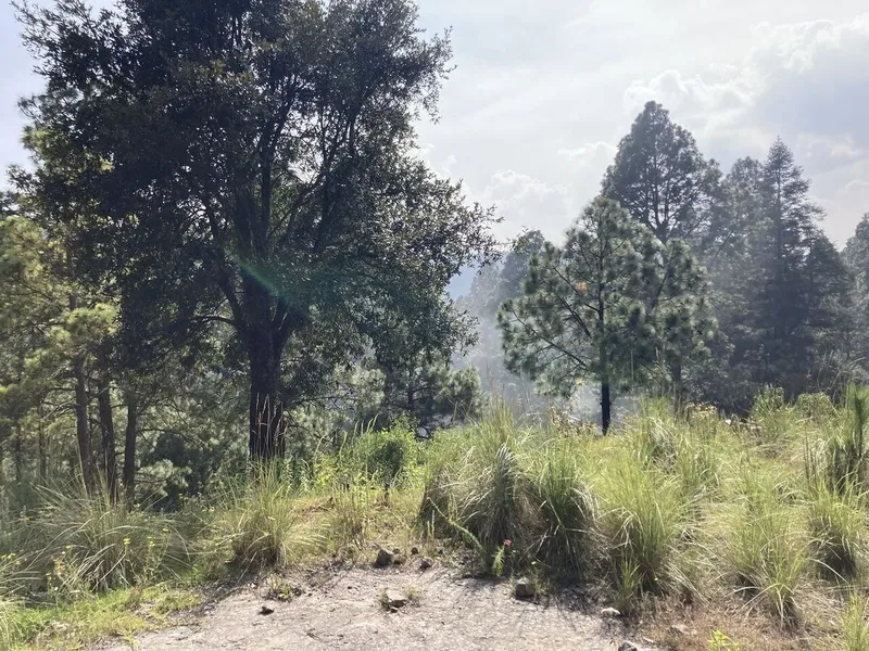 Lote en venta · Cañada de Alférez, Lerma, Estado de México